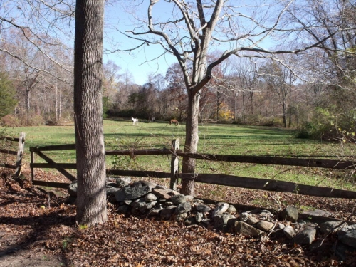 Field near the Josiah Wright House